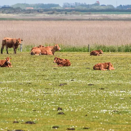 3 Bedroom Gorgeous In Lem St Дом отдыха