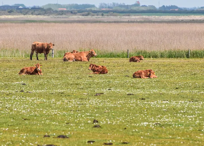 3 Bedroom Gorgeous In Lem St Сasa de vacaciones